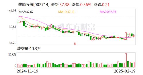 牧原股份董事長秦英林 從四方面推進中國養(yǎng)豬業(yè)高質(zhì)量發(fā)展