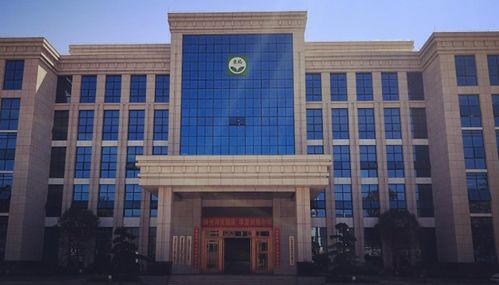 001201東瑞股份上市時間,東瑞上市時間是什么時候以及首日上漲規(guī)則