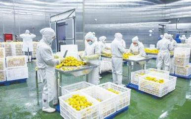 四川德順源食品股份 凍干食品出口繁忙，工人加緊生產(chǎn)迎海外市場(chǎng)